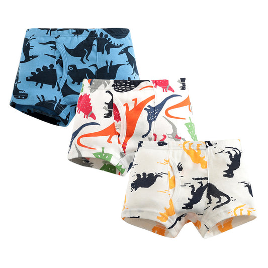 Dinosaur Bunch Boys' Boxers