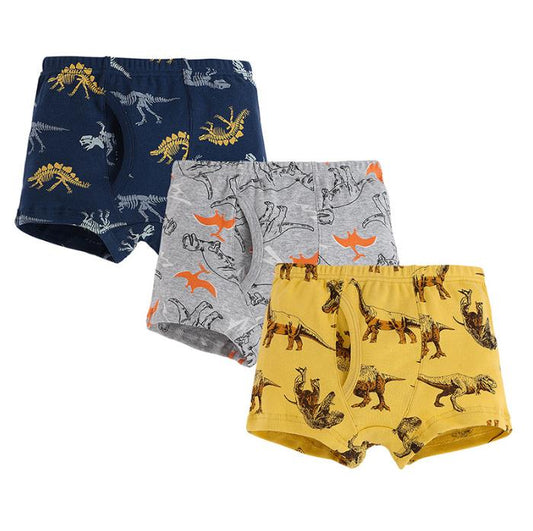 Grey Dinosaur Bunch Boys' Boxers